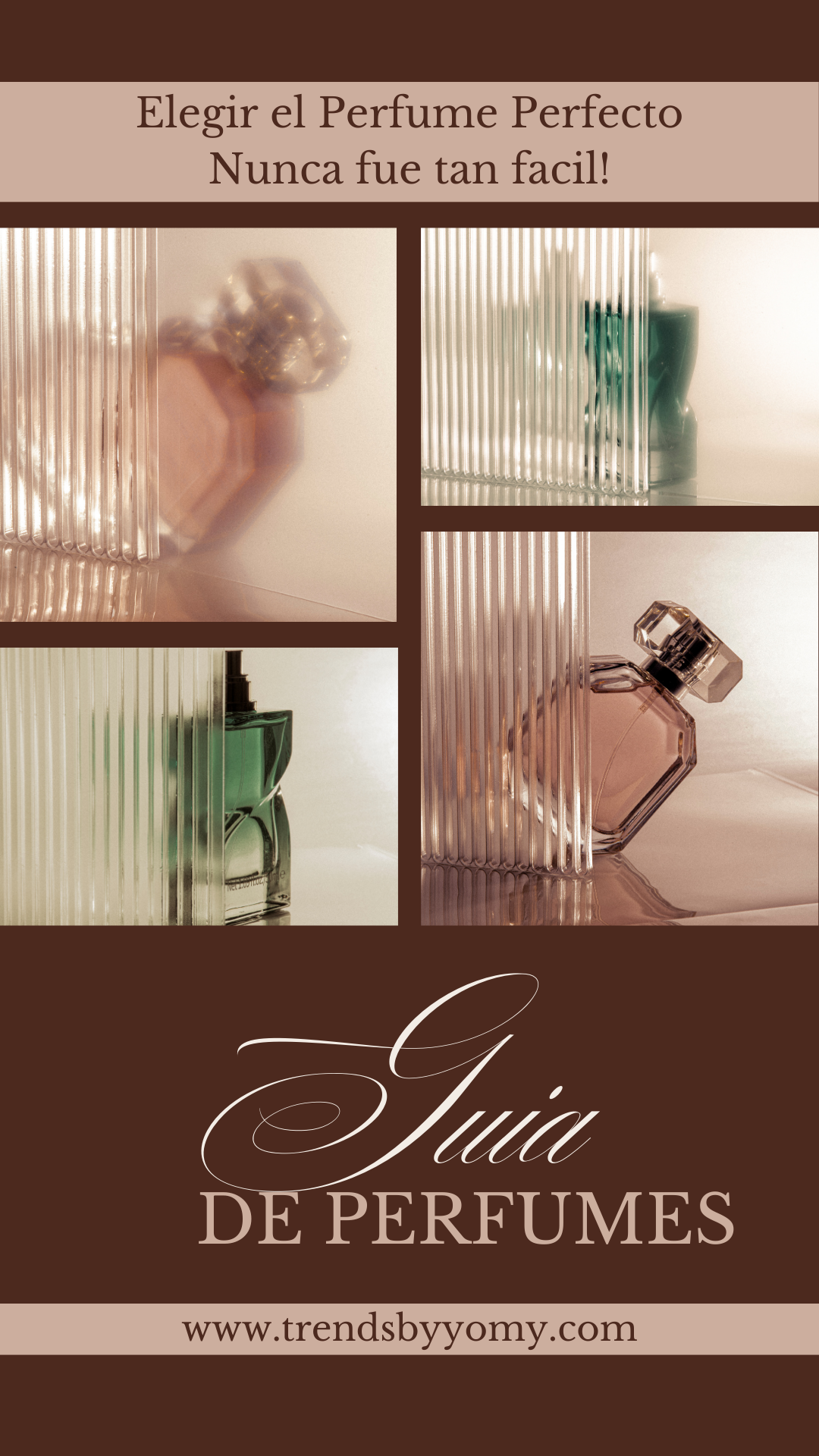 Guía Fácil para Elegir el Perfume Perfecto 💐