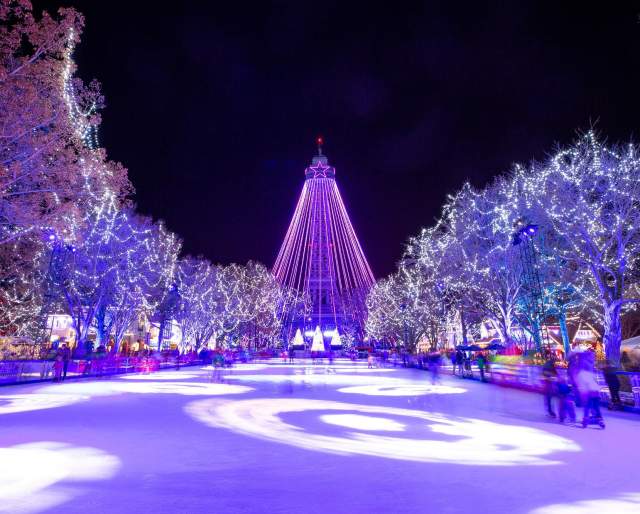 A Unique Christmas Escape in Williamsburg, Virginia (4 days and 3 nights) 